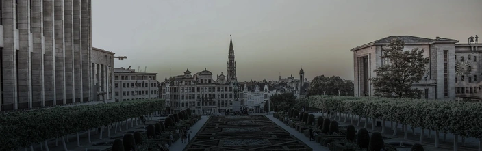 Brussels Cityscape from Mont des Arts Panoramic view of Brussels, showing formal gardens, city buildings, and the Grand Place Town Hall spire.